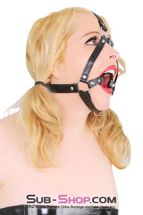 4423BD Wrapped Ring Gag Trainer Harness - Image 5